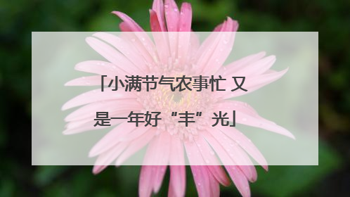 小满节气农事忙 又是一年好“丰”光