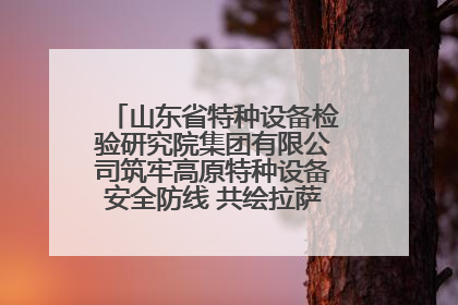 山东省特种设备检验研究院集团有限公司筑牢高原特种设备安全防线 共绘拉萨美好生活画卷