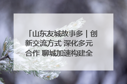 山东友城故事多｜创新交流方式 深化多元合作 聊城加速构建全球友城新格局