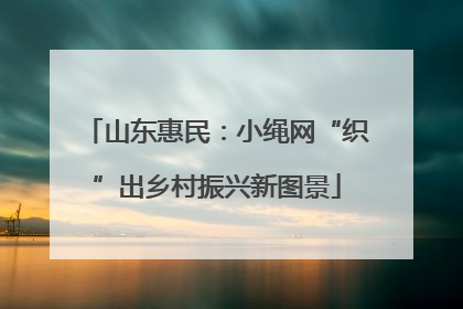 山东惠民：小绳网“织”出乡村振兴新图景