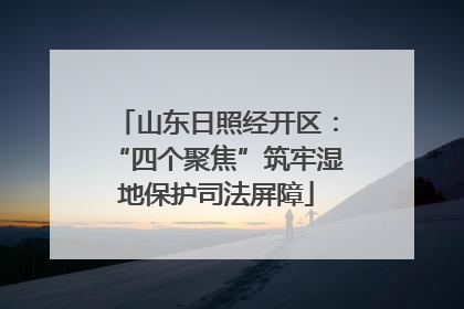 山东日照经开区：“四个聚焦”筑牢湿地保护司法屏障