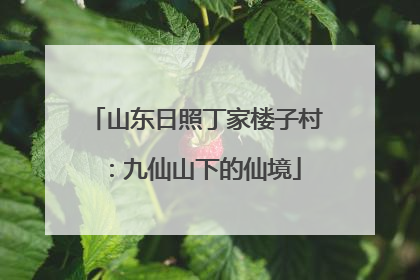 山东日照丁家楼子村：九仙山下的仙境