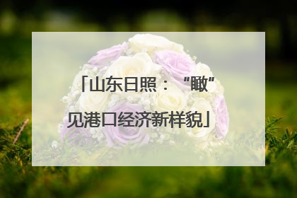 山东日照：“瞰”见港口经济新样貌