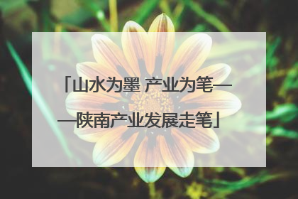 山水为墨 产业为笔——陕南产业发展走笔
