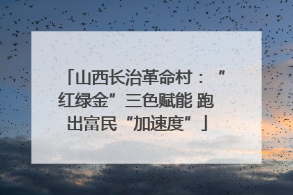 山西长治革命村：“红绿金”三色赋能 跑出富民“加速度”