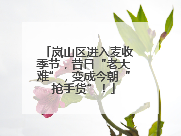 岚山区进入麦收季节，昔日“老大难”，变成今朝“抢手货”！