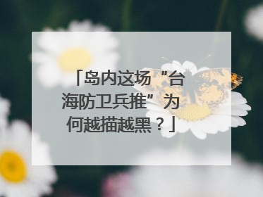 岛内这场“台海防卫兵推”为何越描越黑？
