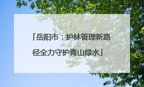 岳阳市：护林管理新路径全力守护青山绿水