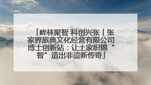 峰林聚智 科创兴张丨张家界旅典文化经营有限公司博士创新站：让土家织锦“智”造出非遗新传奇