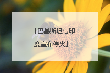 巴基斯坦与印度宣布停火