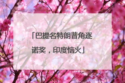 巴提名特朗普角逐诺奖，印度恼火
