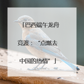巴西端午龙舟竞渡：“点燃去中国的热情”