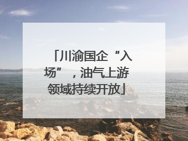 川渝国企“入场”，油气上游领域持续开放