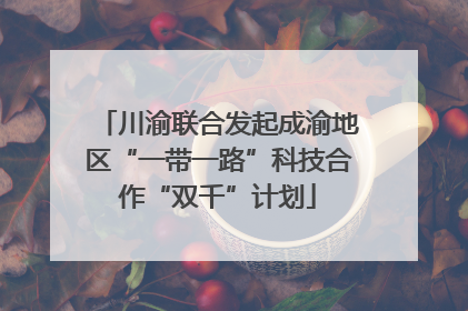 川渝联合发起成渝地区“一带一路”科技合作“双千”计划