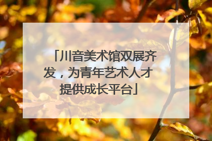 川音美术馆双展齐发，为青年艺术人才提供成长平台