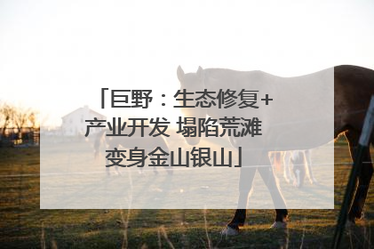 巨野：生态修复+产业开发 塌陷荒滩变身金山银山