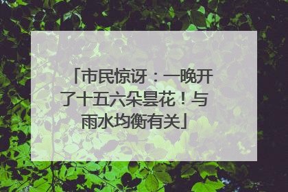 市民惊讶：一晚开了十五六朵昙花！与雨水均衡有关