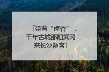 带着“卤香”，千年古城邵阳武冈来长沙邀客