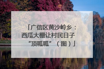 广信区黄沙岭乡：西瓜大棚让村民日子“顶呱呱”（图）