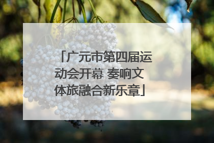 广元市第四届运动会开幕 奏响文体旅融合新乐章
