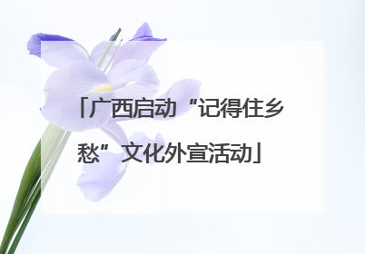广西启动“记得住乡愁”文化外宣活动