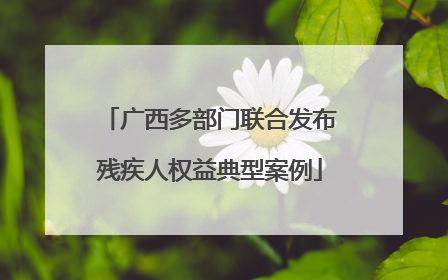 广西多部门联合发布残疾人权益典型案例