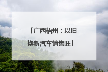 广西梧州：以旧换新汽车销售旺