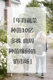 年育蔬菜种苗10亿多株 曲周种苗缘何俏销市场