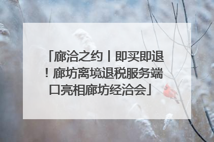 廊洽之约丨即买即退！廊坊离境退税服务端口亮相廊坊经洽会