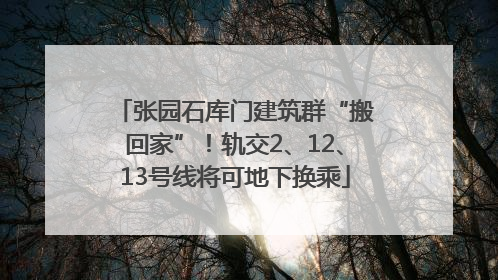 张园石库门建筑群“搬回家”！轨交2、12、13号线将可地下换乘