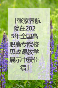 张家界航院在2025年全国高职高专院校思政课教学展示中获佳绩