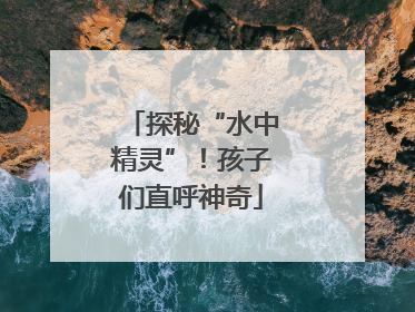 探秘“水中精灵”！孩子们直呼神奇
