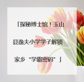 探秘博士馆！玉山县逸夫小学学子解锁家乡“学霸密码”