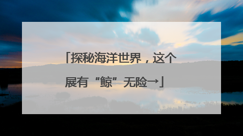 探秘海洋世界，这个展有“鲸”无险→