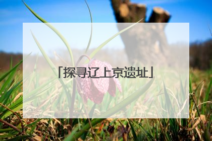 探寻辽上京遗址