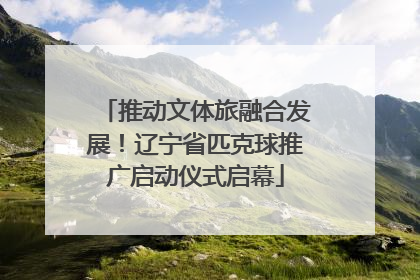 推动文体旅融合发展！辽宁省匹克球推广启动仪式启幕