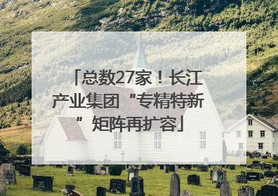 总数27家！长江产业集团“专精特新”矩阵再扩容