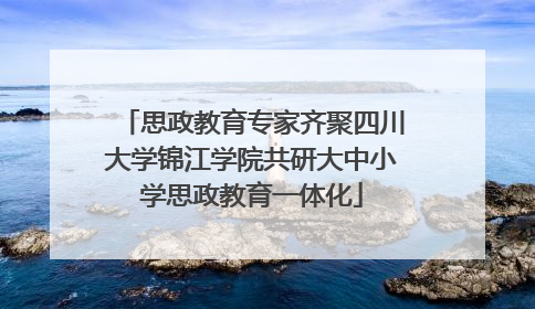 思政教育专家齐聚四川大学锦江学院共研大中小学思政教育一体化
