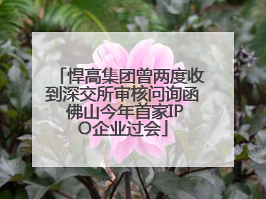 悍高集团曾两度收到深交所审核问询函 佛山今年首家IPO企业过会