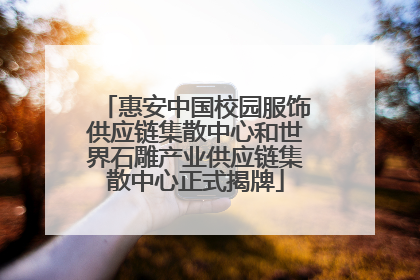 惠安中国校园服饰供应链集散中心和世界石雕产业供应链集散中心正式揭牌
