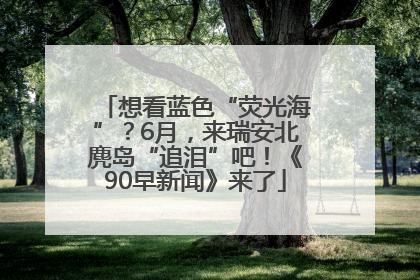 想看蓝色“荧光海”？6月，来瑞安北麂岛“追泪”吧！《90早新闻》来了