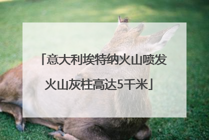 意大利埃特纳火山喷发 火山灰柱高达5千米