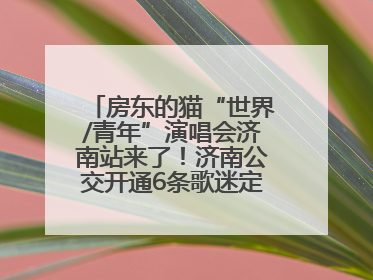 房东的猫“世界/青年”演唱会济南站来了！济南公交开通6条歌迷定制专线