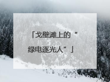 戈壁滩上的“绿电逐光人”