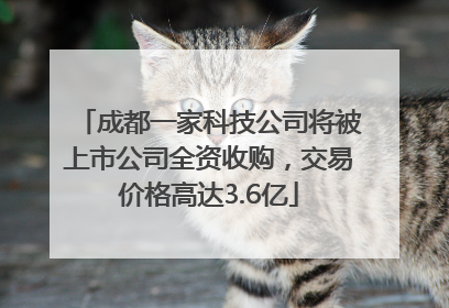 成都一家科技公司将被上市公司全资收购，交易价格高达3.6亿