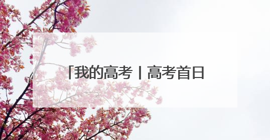 我的高考丨高考首日 海南家长花式送考