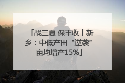 战三夏 保丰收丨新乡：中低产田“逆袭” 亩均增产15%