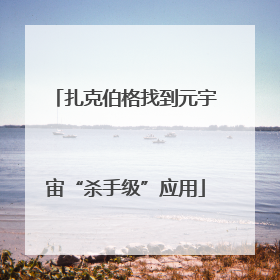 扎克伯格找到元宇宙“杀手级”应用
