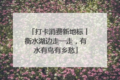 打卡消费新地标丨衡水湖边走一走，有水有鸟有乡愁