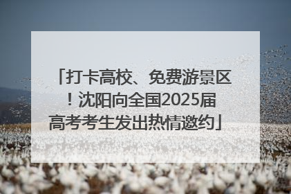 打卡高校、免费游景区！沈阳向全国2025届高考考生发出热情邀约